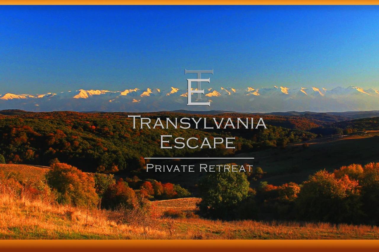 Transylvania Escape Lejlighed Richisu Eksteriør billede