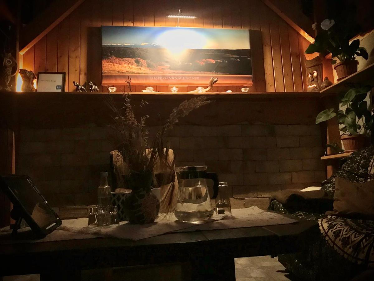 Transylvania Escape Lejlighed Richisu Eksteriør billede
